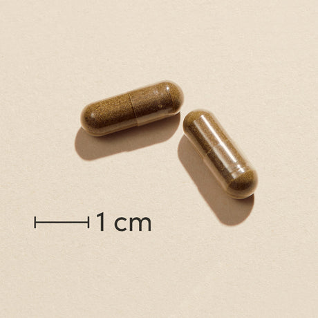 OmniVita EchinaGold