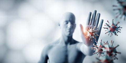 Immunforsvar
